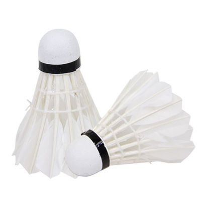 Plume blanche d'oie de boule de badminton de boule de badminton de volant léger de formation