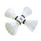 L'oie croisée blanche de forme physique de badminton de volant en nylon de formation fait varier le pas du badminton